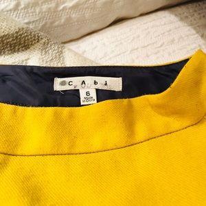 CAbi Skirts - CAbi Skirt CAbi Skirts - CAbi Skirt